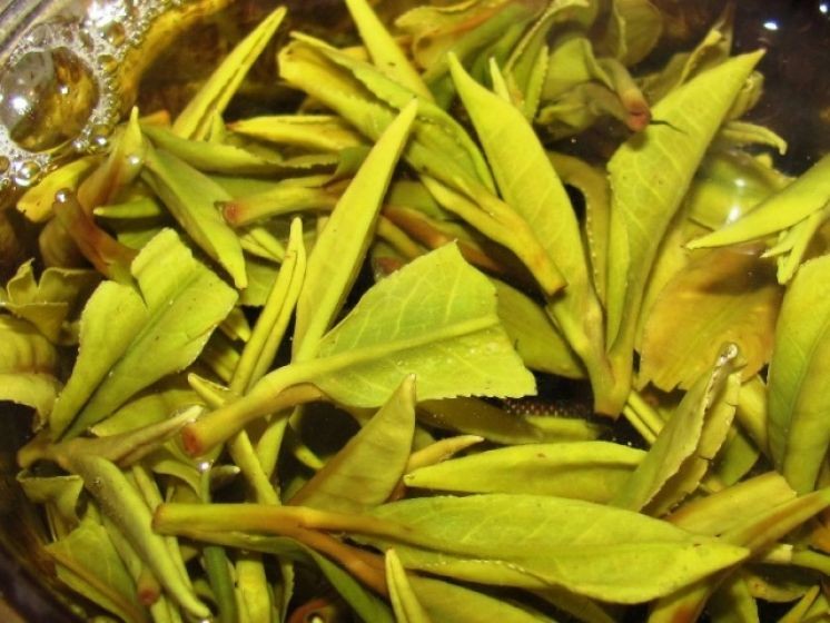 Жёлтый краснодарский чай производства фермера Кульяна.