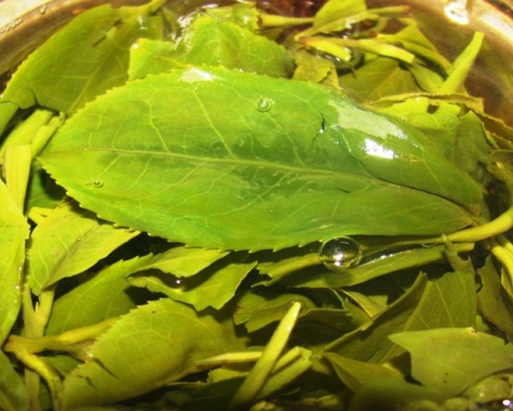 Зелёный чай Лун Цзин из Сан Ся (Тайвань) 