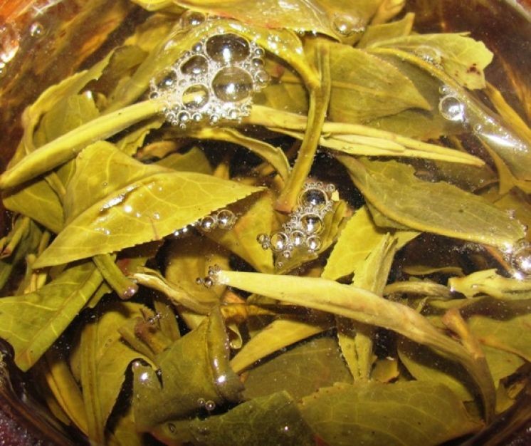 Непальский чай Nepali Emerald от фирмы 