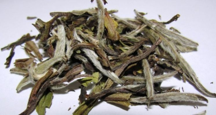 Белый чай производства китайского бренда Taimufuda