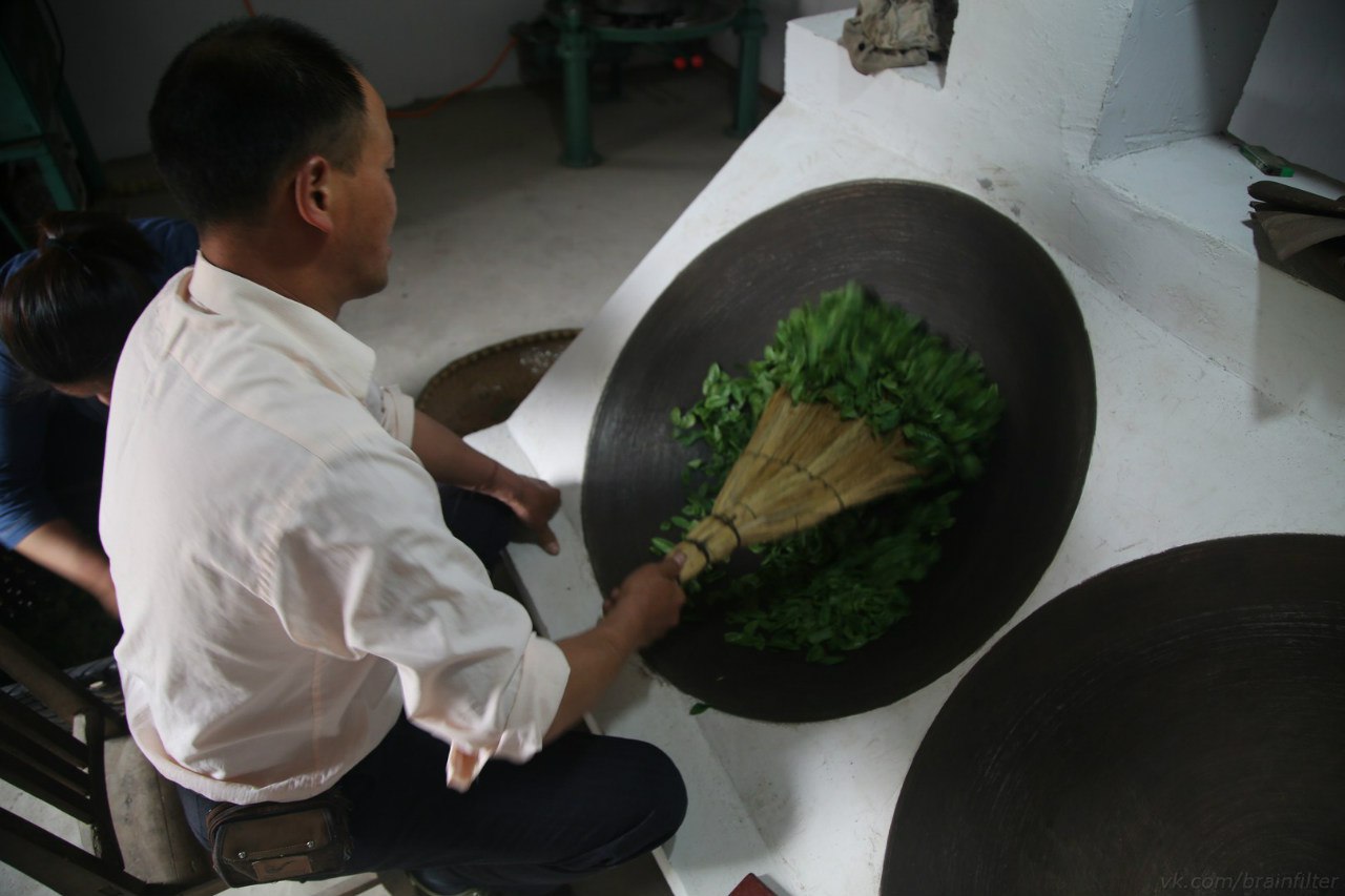 Смена традиций производства чая в Китае.